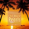 Chill House Pearls, Edition 1, 2013