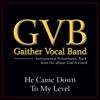 He Came Down to My Level (Performance Tracks) - EP