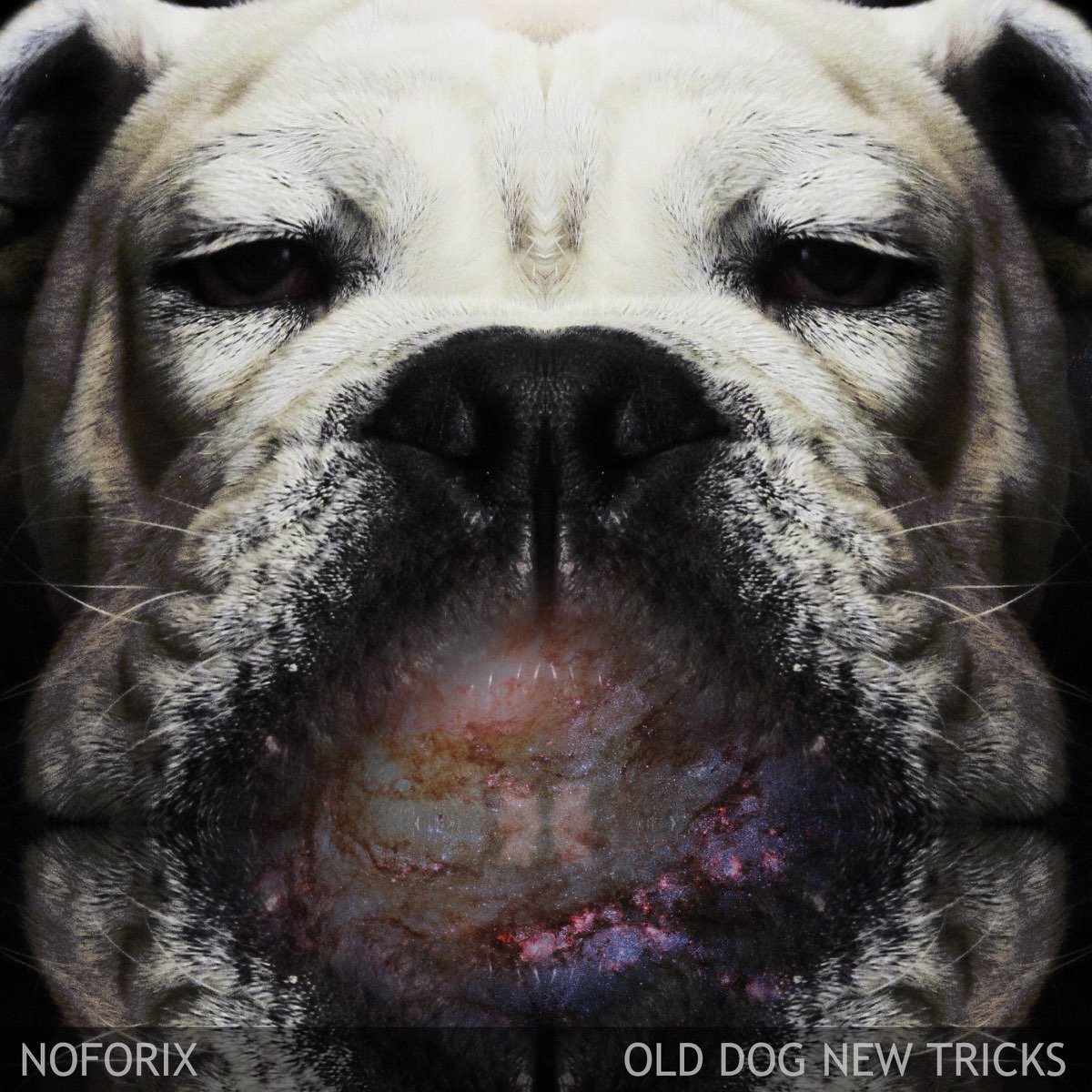 Dog new tricks. Old Dog, New Tricks. Олд догс.