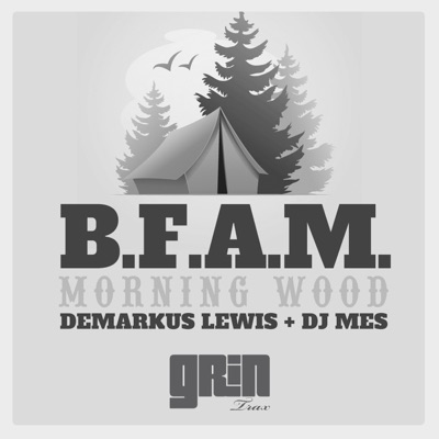 Morning Wood - Single