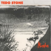 Tedo Stone - To the Marshes
