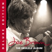 Joe Brown - Lay Down Sally [Live]