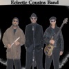 Eclectic Cousins Band