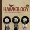 Hawk Nelson - Something On My Mind