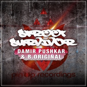 Street Survivor - Single