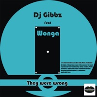 They Were Wrong (feat. Wonga) - Single - Dj Gibbz
