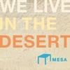 Mesa Recordings Presents - We Live in the Desert, 2013