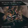 Why Now (Kiran M Sajeev Dub Mix) [feat. Angel Falls]