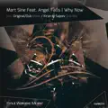 Why Now (Kiran M Sajeev Dub Mix)