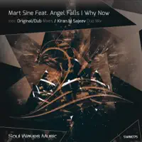 Why Now (Kiran M Sajeev Dub Mix) [feat. Angel Falls]
