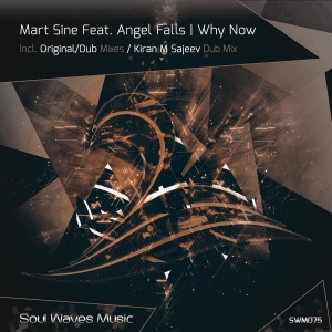 Why Now (feat. Angel Falls) - Single