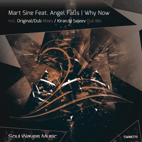 Why Now (feat. Angel Falls) - Single