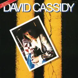 Gettin' It in the Street - David Cassidy