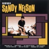 The Very Best of Sandy Nelson, 2003