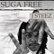 Turnt up (feat. Nipsey Hussle) - Suga Free & J Steez lyrics