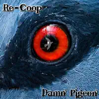 Benjamin Suicide — Damn Pigeon