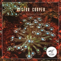 Trip to Solaris - Single - Hector Cooper