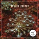 Trip to Solaris Single