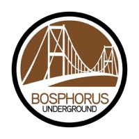 Shake It Like a Saltshaker (Re-Master) - Single - Chris Lawyer