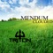 Clouded - Mendum lyrics