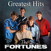 Greatest Hits - The Fortunes