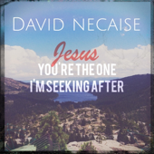 Jesus You're the One I'm Seeking After - EP