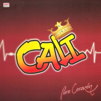 Puro Corazón - Grupo Cali