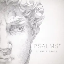 Psalms, Vol. 2 - Shane and Shane