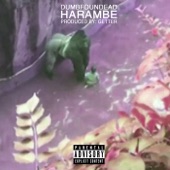 DUMFOUNDEAD - Harambe