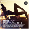 Best of Deep House 2015 (Deluxe Version) - Various Artists