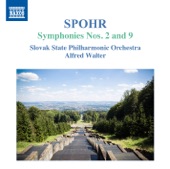 Slovak State Philharmonic Orchestra & Urs Schneider - Symphony No. 9 in B Minor, Op. 143 "The Seasons", Pt. 2: Autumn. L'istesso tempo