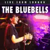 The Bluebells - I'm Falling (Live)
