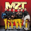 MZT - Mi Bella Hada