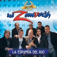Los Zemvers - Popurrí Baila Este Ritmo Sabroso: Intro / La Feria de Cali / Baila Este Ritmo Sabroso / Camarón Pelao / El Cuartetazo / Cangrejito Playero / El Gallo Mojao / El Tabaco Mascao / La Charamusca / La Brujita / El Bailador