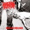 Head Wounds - Domestic Terror lyrics