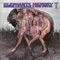 Crossroads of the Stepping Stones - Elephant's Memory lyrics