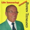 Lille Sommerfugl - Single