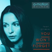 You Won't Forget (feat. Efimia) [Radio Edit] artwork