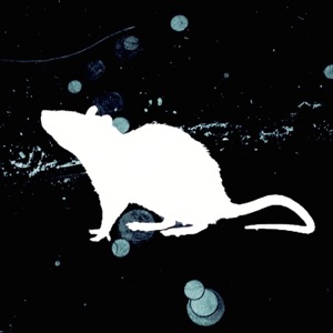 Enhaa - Single