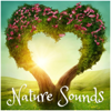 Love Nature Sounds - Calmsound