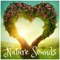 Waterfall Sounds (Niagara Falls) - Calmsound lyrics