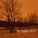 Under the Milky Way (The Church Cover) - Tearwave