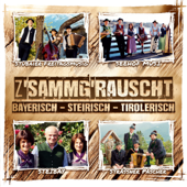 Z'sammg'rauscht / bayerisch - steirisch - tirolerisch - Varios Artistas