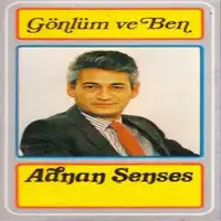 Sevmek Yok — Adnan Şenses