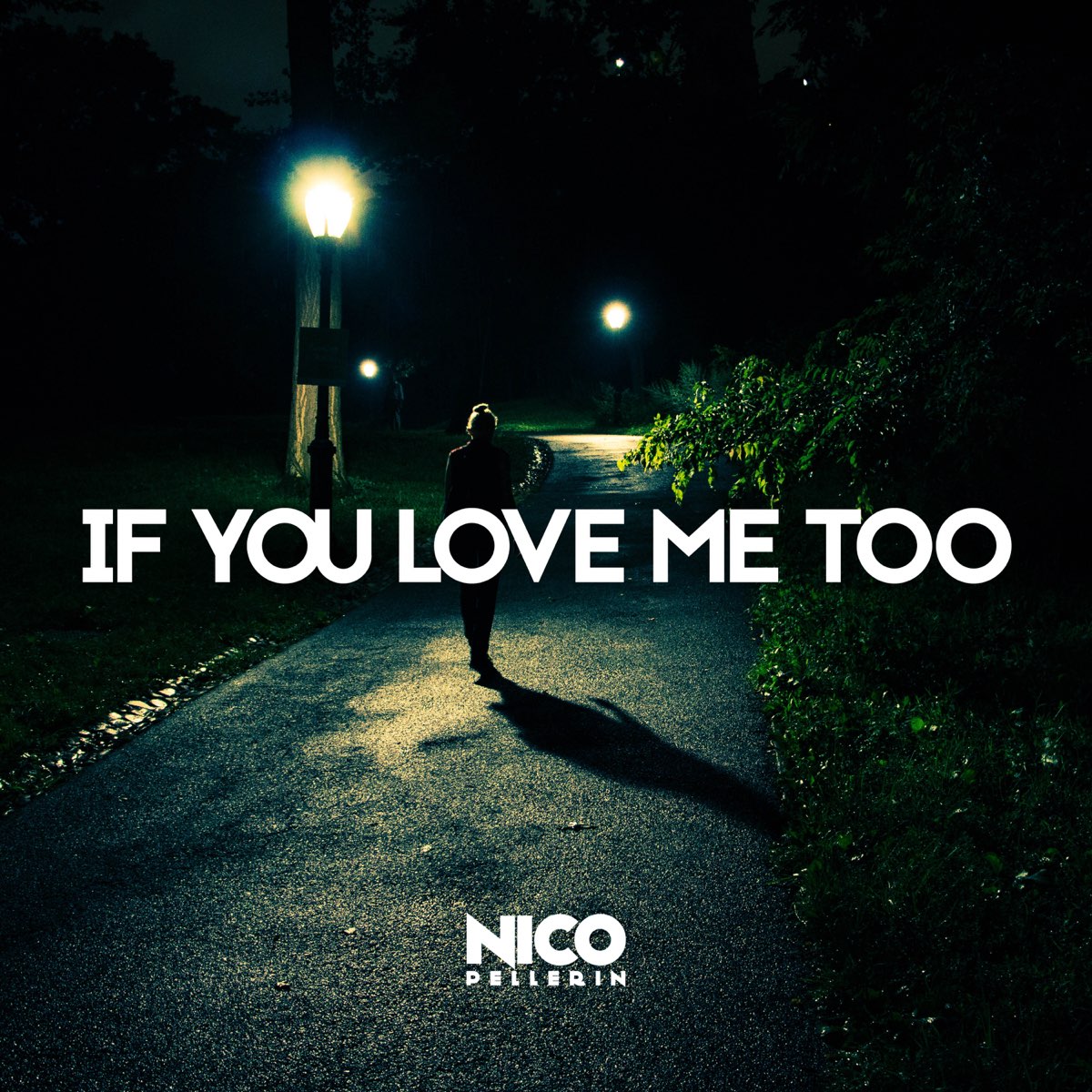 Love me too. Laura Newman Nico Pellerin. Don't go Laura Newman, Nico Pellerin. If you Love me. If you Love me i. if you.