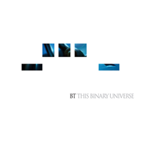 BT - This Binary Universe artwork