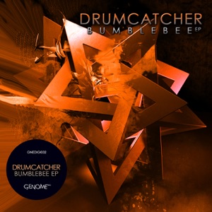Bumblebee - Single