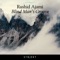 Blind Man's Groove - Rashid Ajami lyrics