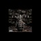 Jungle - Redstar Radi lyrics