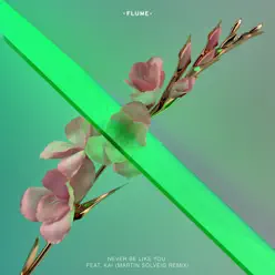 Never Be Like You (Martin Solveig Remix) [feat. Kai] - Single - Flume